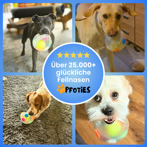 Der Pfoties® Anti-Stress-Ball ist ein robustes, beruhigendes Hundespielzeug mit stabilem Griff und sichtbarem Tennisball im Inneren. Perfekt zum Kauen, Tragen und Stressabbau – aus langlebigem TPR-Material für glückliche Hunde.
