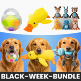 XXL-Black-Week Bestseller-Bundle