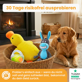 XXL-Black-Week Bestseller-Bundle