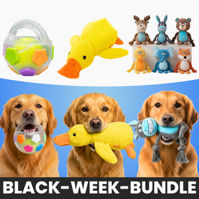 XXL-Black-Week Bestseller-Bundle