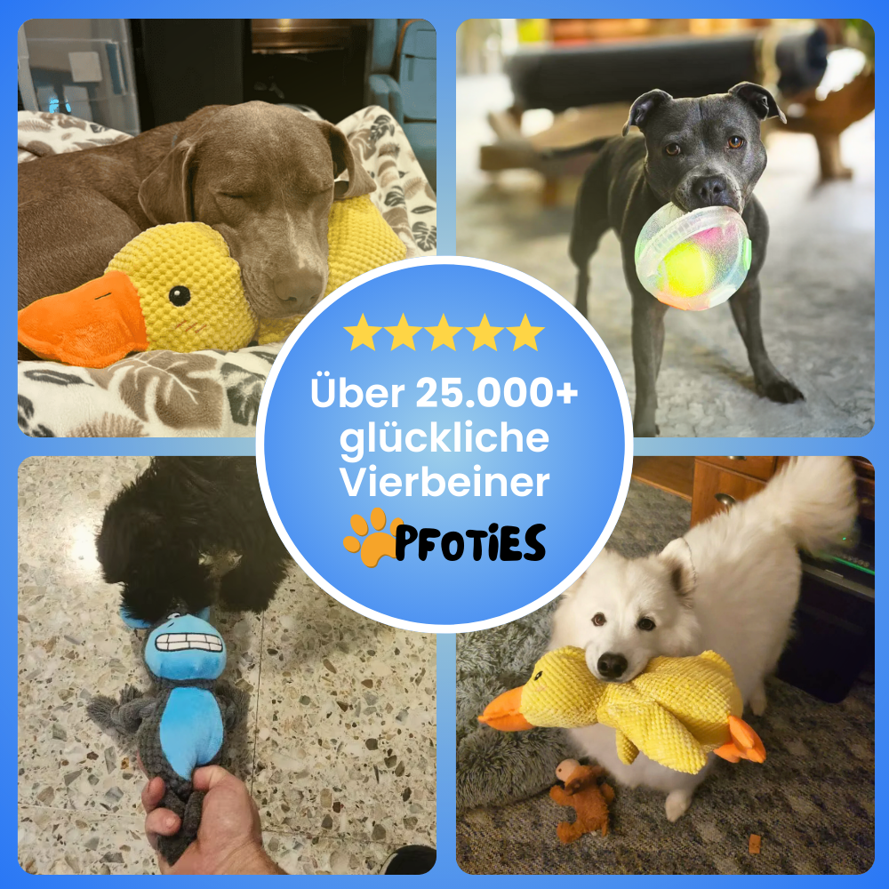 XXL-Black-Week Bestseller-Bundle