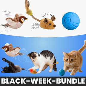 XXL-Black-Week Bestseller-Bundle