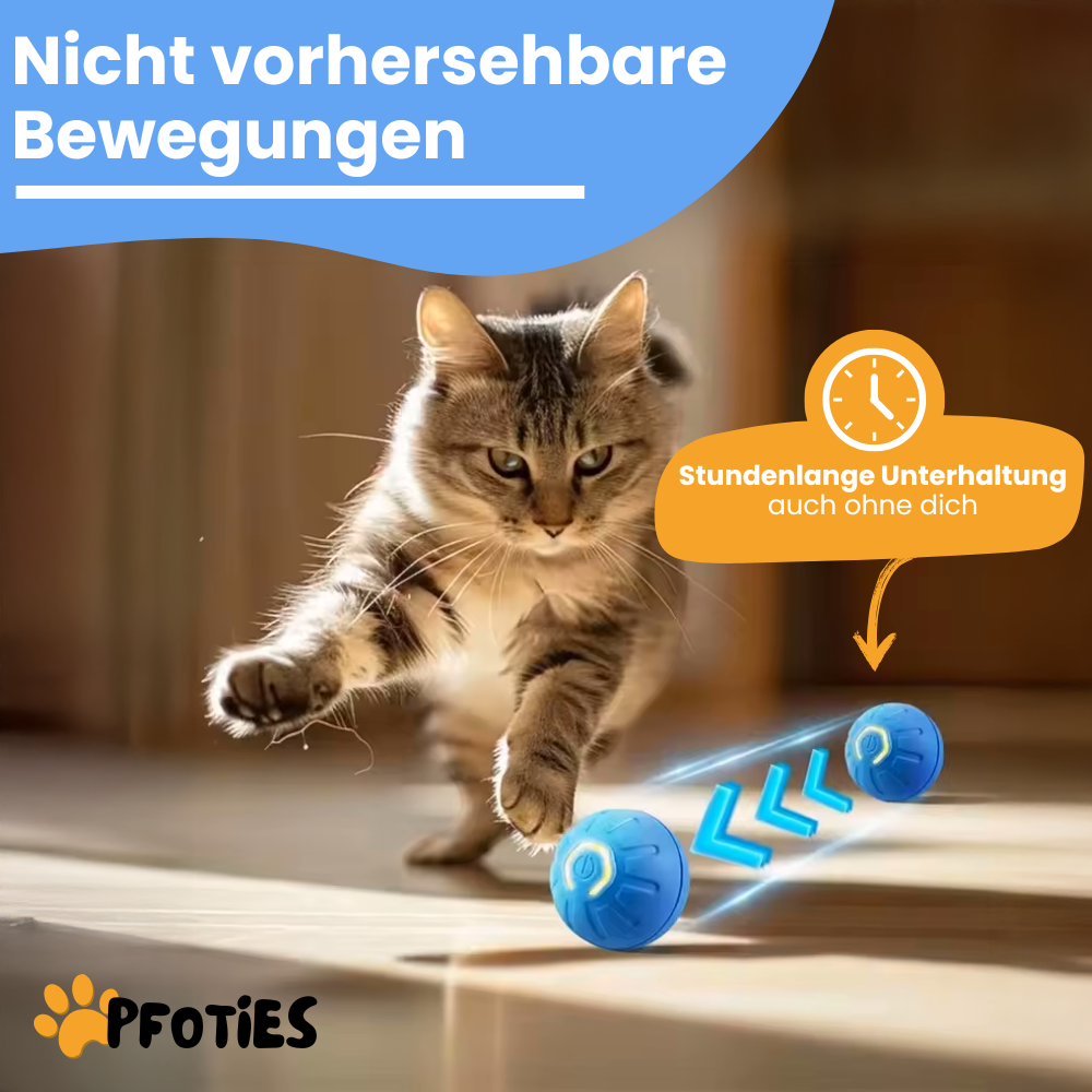 XXL-Black-Week Bestseller-Bundle