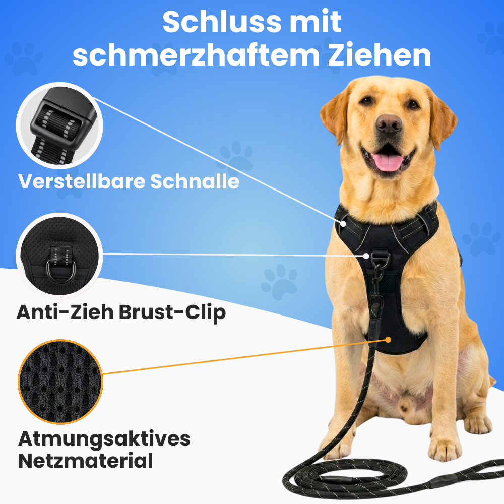 GassiHeld - Anti-Zieh-Geschirr