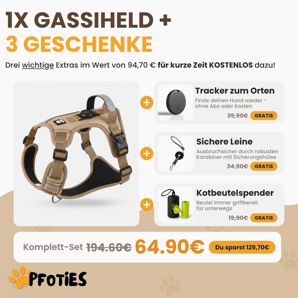 GassiHeld Anti-Zieh-Geschirr | Pfoties®