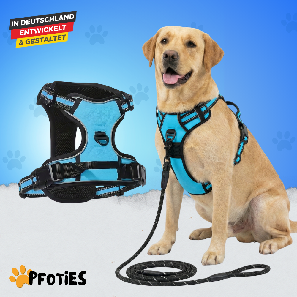 GassiHeld - Anti-Zieh-Geschirr