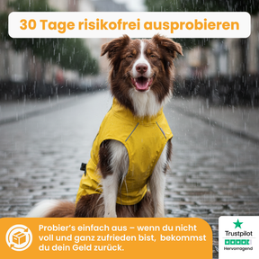 Der Pfoties® RegenHeld – wasserabweisender Hundemantel mit reflektierenden Streifen, elastischen Schlaufen und verstellbarem Kordelzug. Bietet Schutz bei Regen & Wind und sorgt für Komfort und Sicherheit auf jedem Spaziergang.