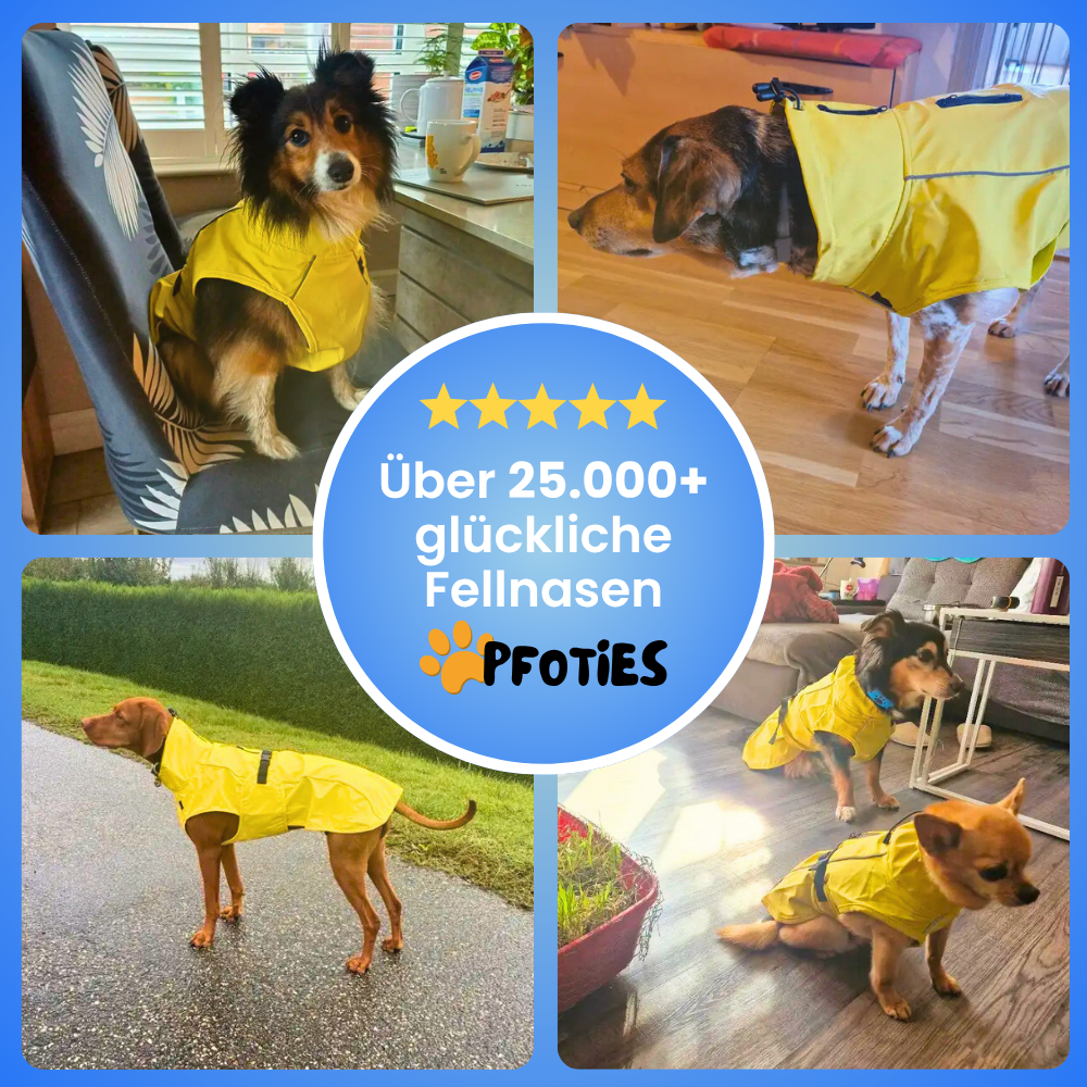 Der Pfoties® RegenHeld – wasserabweisender Hundemantel mit reflektierenden Streifen, elastischen Schlaufen und verstellbarem Kordelzug. Bietet Schutz bei Regen & Wind und sorgt für Komfort und Sicherheit auf jedem Spaziergang.