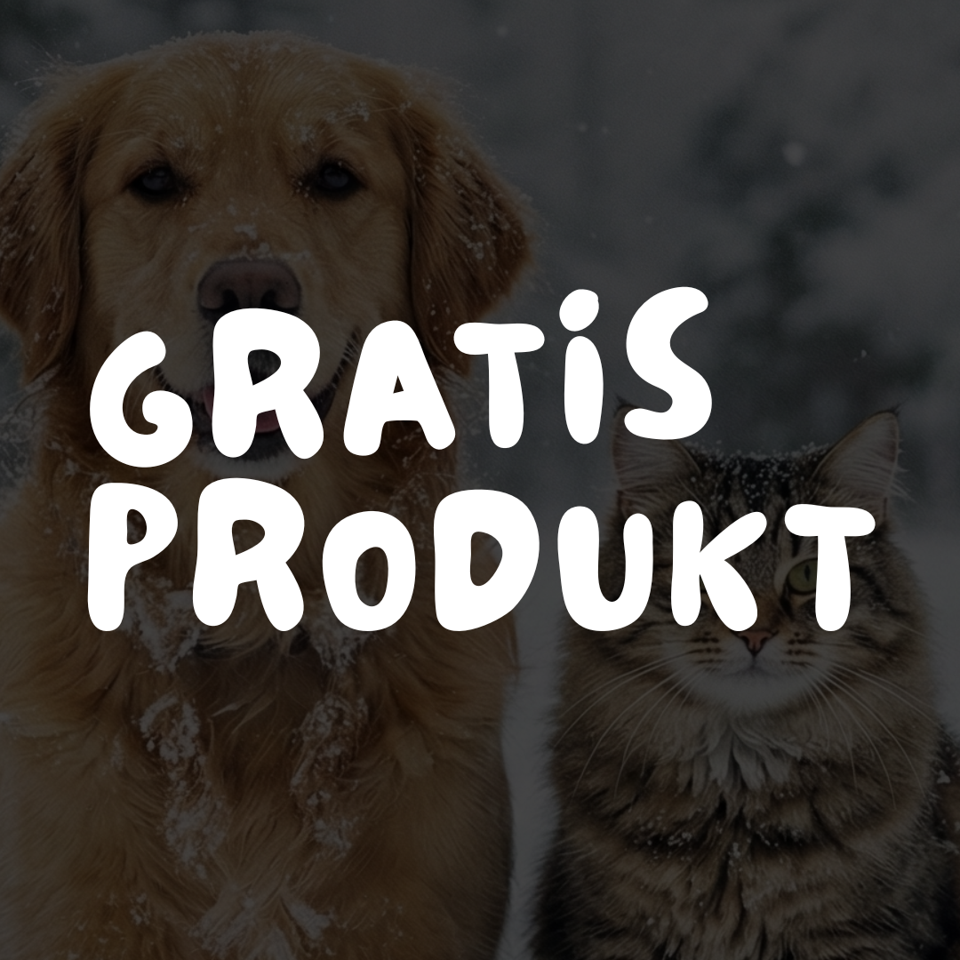 🎁 1x Gratis Produkt (Wintersale)