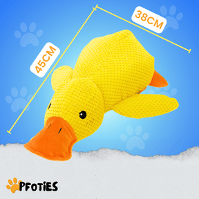 anti-stress-ente_pfoties_10