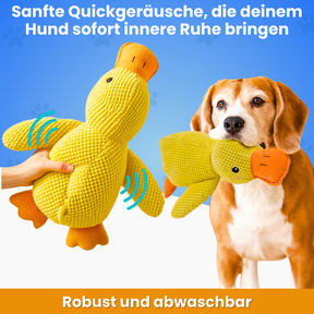 anti-stress-ente_pfoties_5