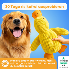 anti-stress-ente_pfoties_6
