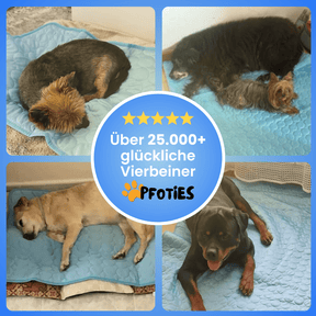 PfotenCool_Kühlmatte_Pfoties