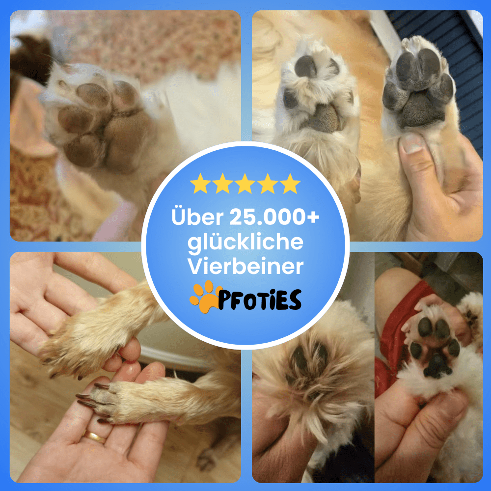 4in1 PfotenTrimmer von Pfoties – sicherer Trimmer mit runder Sicherheitsklinge für präzise Pflege. Ideal für empfindliche Körperstellen bei Hunden und Katzen, sanft & ohne Ziepen.