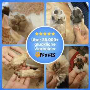 4in1 PfotenTrimmer von Pfoties – sicherer Trimmer mit runder Sicherheitsklinge für präzise Pflege. Ideal für empfindliche Körperstellen bei Hunden und Katzen, sanft & ohne Ziepen.