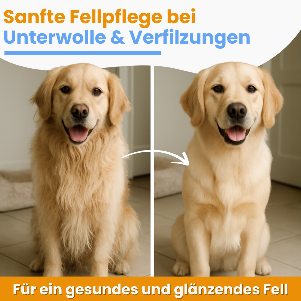 Vorher-nachher Vergleich von einem Hund: links mit viel losem Fell, rechts sichtbar gepflegter und glatter – das Bürsten sorgt für weniger Haare und ein gepflegtes Aussehen.