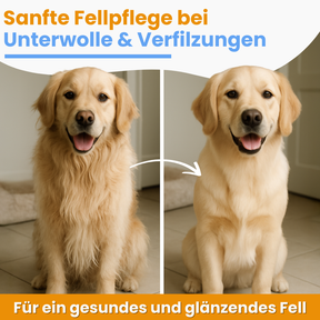Vorher-nachher Vergleich von einem Hund: links mit viel losem Fell, rechts sichtbar gepflegter und glatter – das Bürsten sorgt für weniger Haare und ein gepflegtes Aussehen.