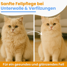 Vorher-nachher Vergleich einer Katze: links mit viel losem Fell, rechts sichtbar gepflegter und glatter – das Bürsten sorgt für weniger Haare und ein gepflegtes Aussehen.