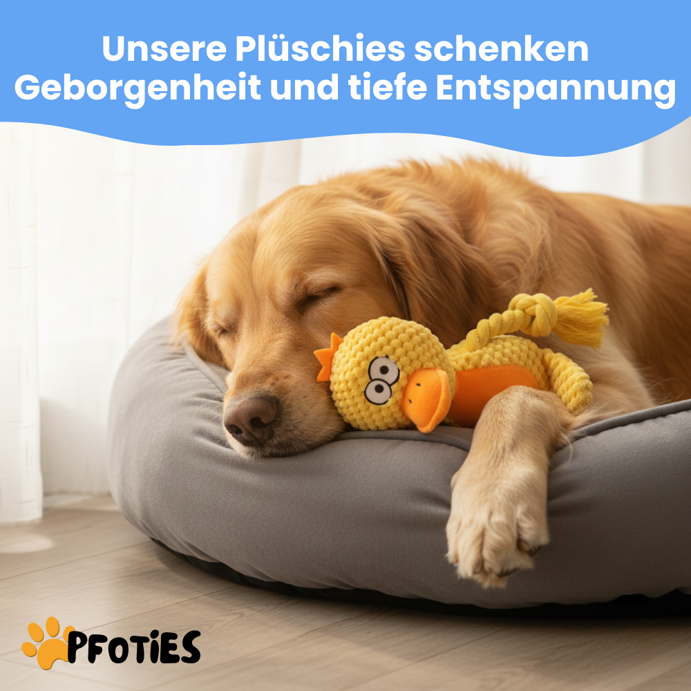Plüschies - Zum zerren, kauen & lieben | Pfoties® Original