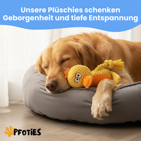 Plüschies - Zum zerren, kauen & lieben | Pfoties® Original